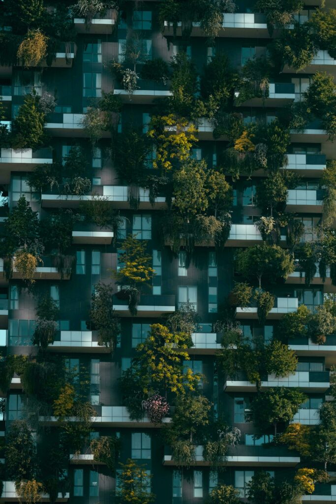 pexels-photo-4322027-4322027.jpg